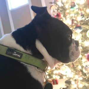 Meet your Posher, Christy